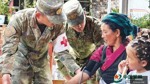 十年坚守，申花队面临终极挑战，突破难关的真相